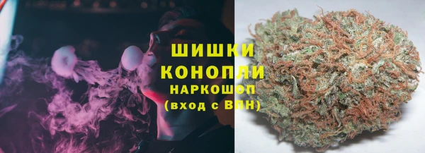 PSILOCYBIN Алексеевка
