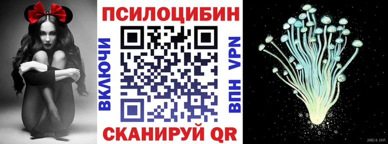 кракен как зайти  Анапа  Псилоцибиновые грибы мухоморы 
